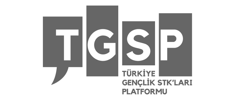 Türkiye Gençlik STK'ları Platformu