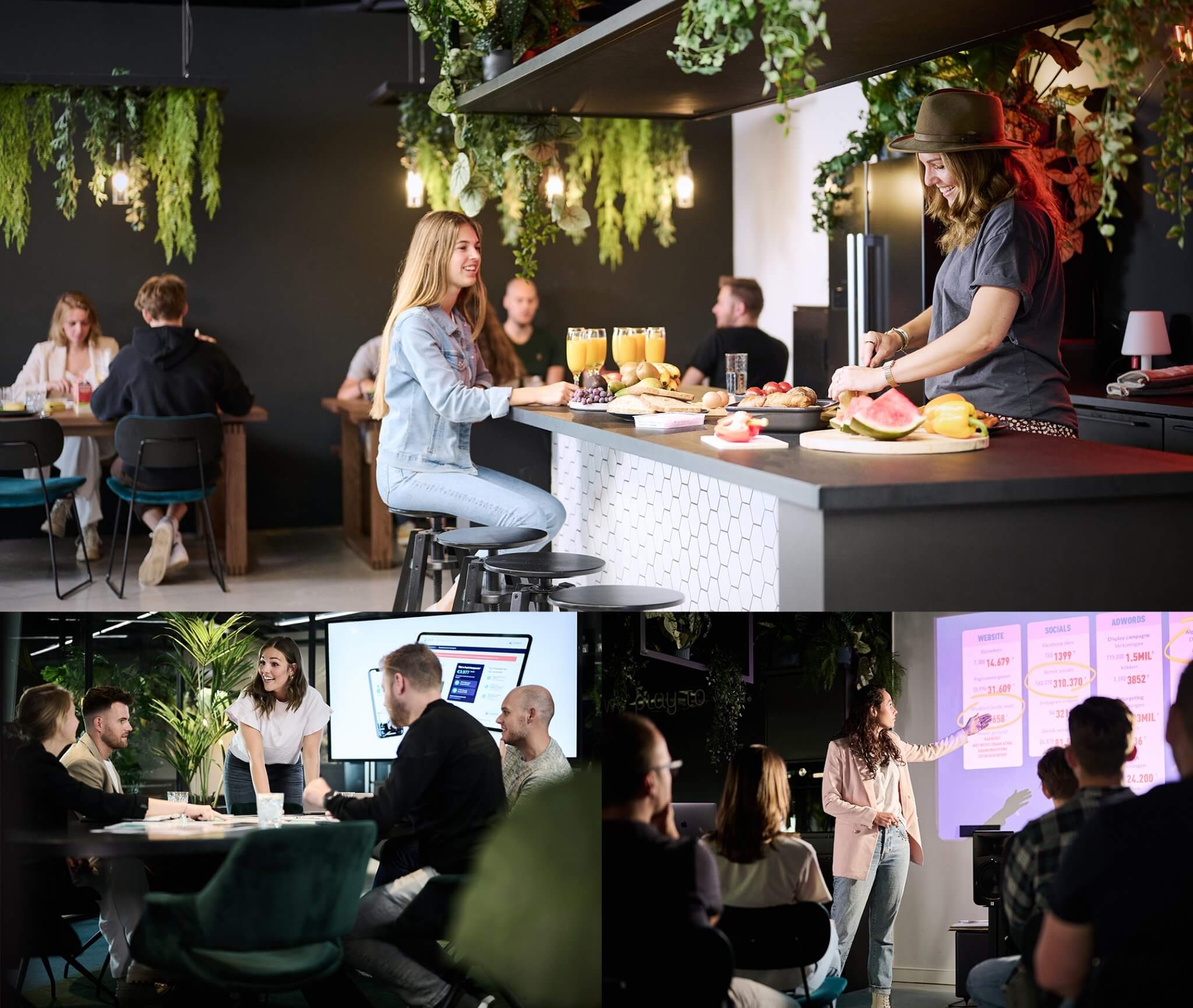 Senior Grafik Tasarımcı